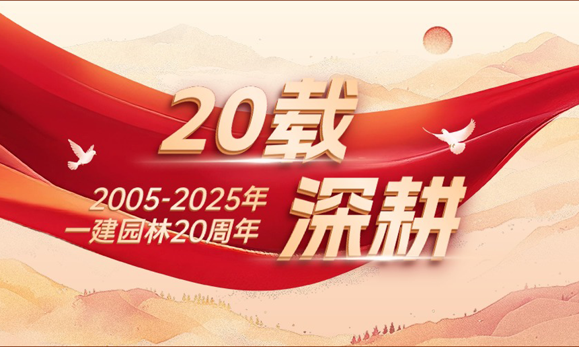 20 年征途：从一份初心，到一群人的坚守